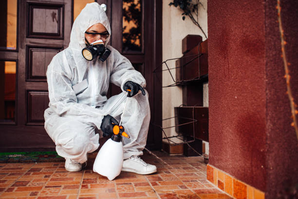 Reliable Bed Bug Control contractor in Kalaheo, HI by Nex Pest Control