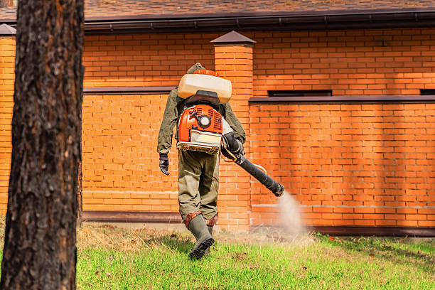 Trusted Termite Control service in Kalaheo, HI - Nex Pest Control